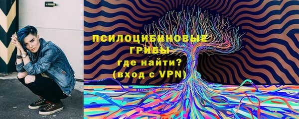 соль ск Магас