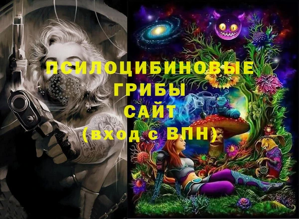 гашик Магадан