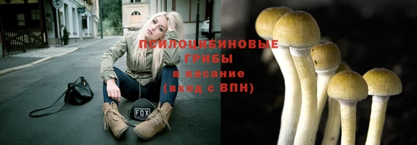 соль ск Магас