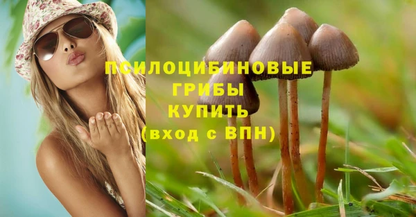 гашик Магадан
