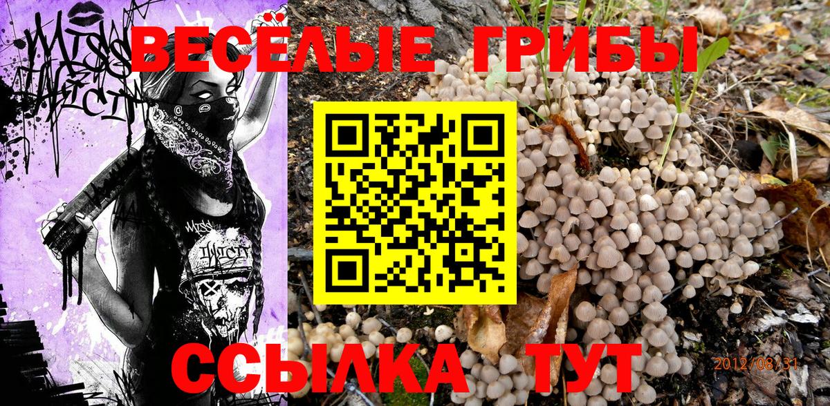 Галлюциногенные грибы прущие грибы Тосно